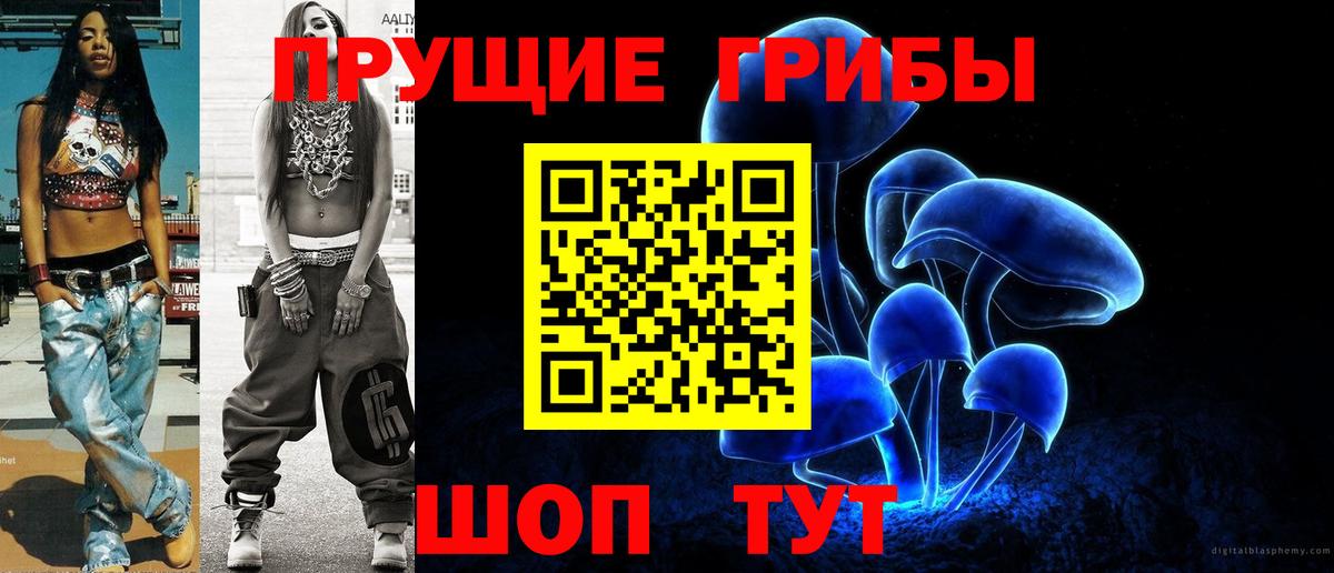 Горно-Алтайск  Галлюциногенные грибы мицелий  Вход с VPN 